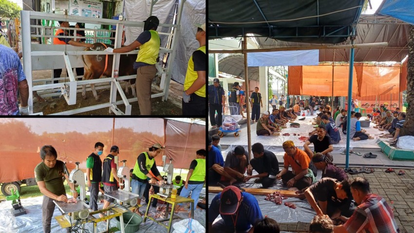 Managemen Event Qurban di Masjid Baitul Makmur, Termasuk Yang Terbaik