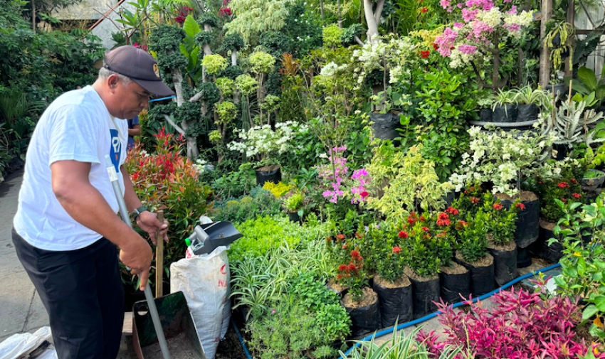 Klaster Bunga Bratang: Binaan BRI dengan Tempat Usaha Nyaman, Bisnis Kian Berkembang