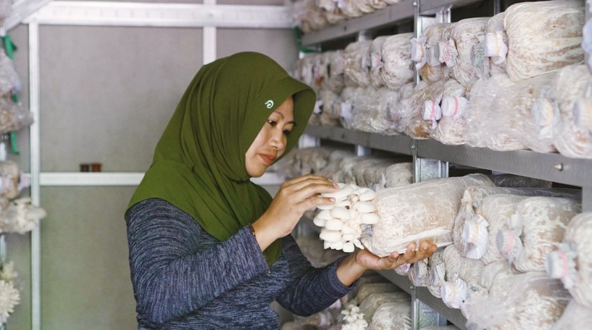 Dukung Pengembangan Ekonomi Desa, Program Desa BRILiaN 2024 Terus Berlanjut