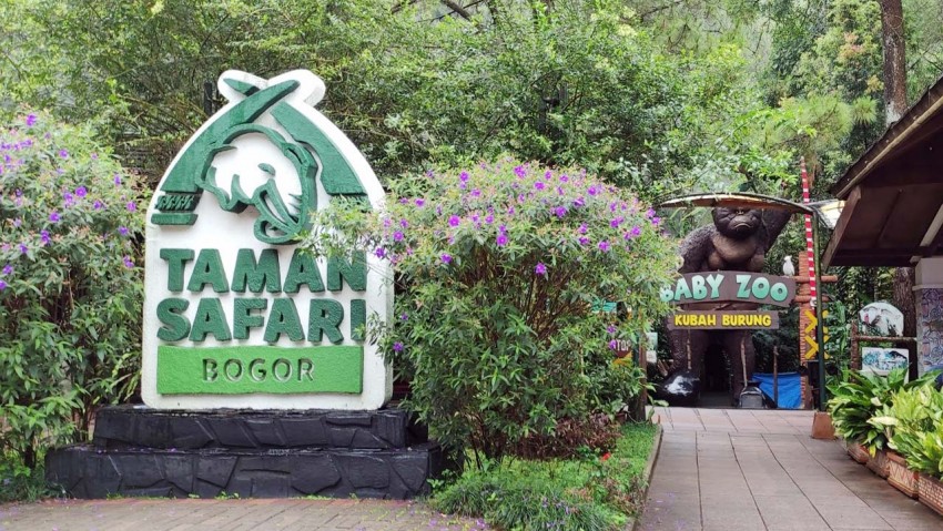Pecinta Kopi, Wajib Datang! Sensasi Kuliner dan Kopi di Tengah Hutan: International Coffee Day 2024 Spektakuler di Taman Safari Bogor
