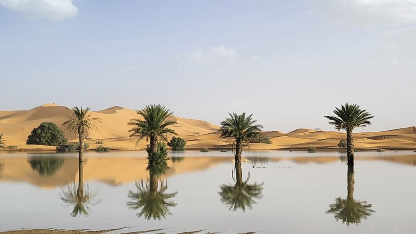 Fenomena Langka: Gurun Sahara Berubah Jadi Danau Raksasa, Pemandangan Menakjubkan Terekam!