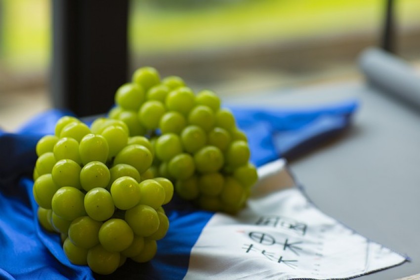 Geger Anggur Muscat dari China Mengandung Residu Pestisida Berbahaya