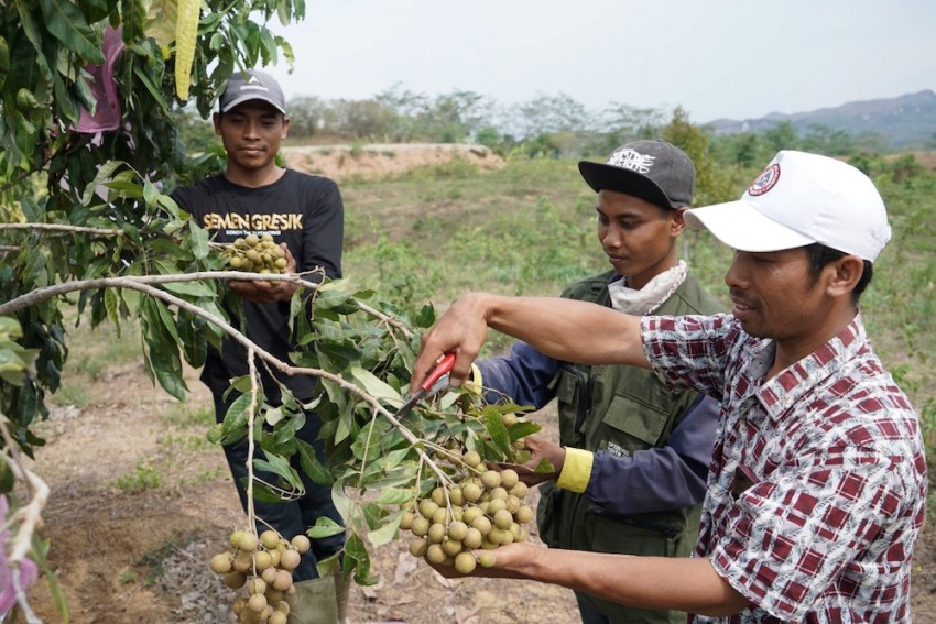 PT SIG Beri Pendampingan pada 361 Petani Pesanggem di Rembang