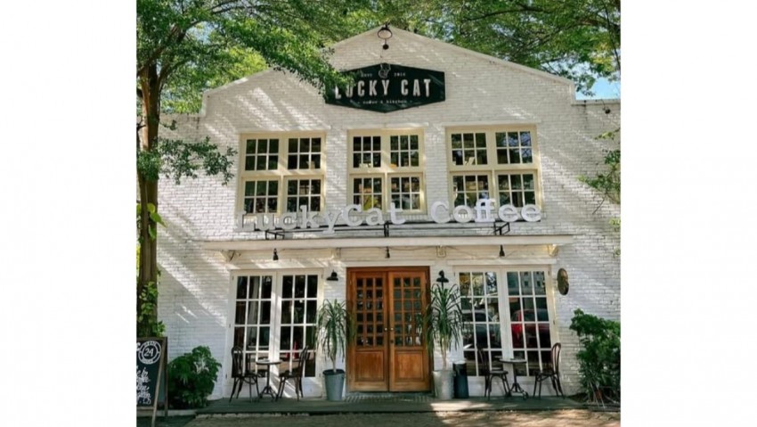 Lucky Cat & Coffee Cafe Hidden Gem dengan Suasana Homey dan Nyaman