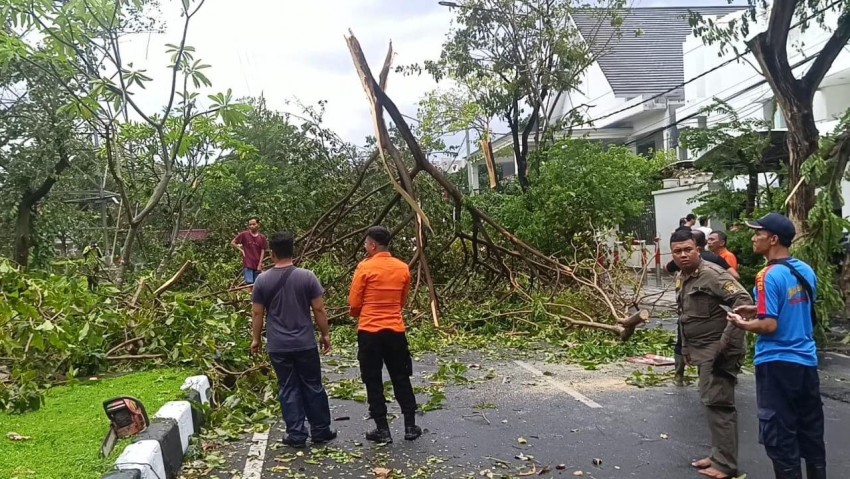 Pakar Geologi Serukan Kesiapsiagaan Mitigasi Dampak Angin Puting Beliung