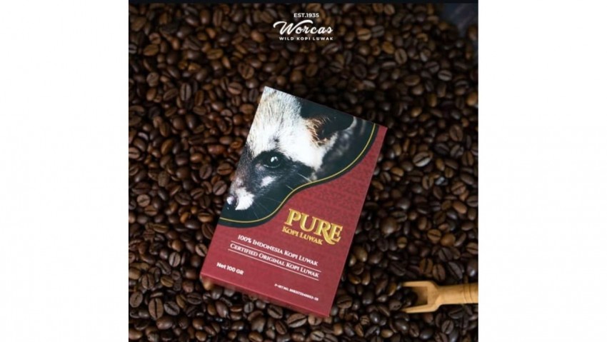 Worcas Promosikan Kopi Luwak ke Pasar Dunia