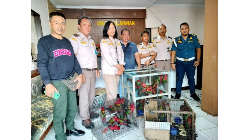 Karantina Sulawesi Utara Gagalkan Aksi Penyelundupan 50 Ekor Satwa Dilindungi