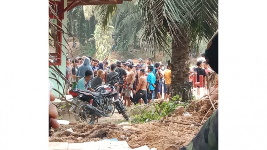 TNI Dapat Tugas Koordinasikan dengan Institusi Terkait Jaga Keamanan Sawit