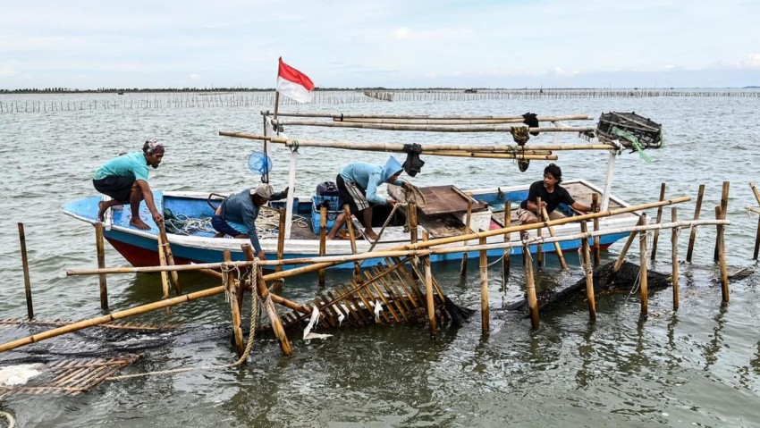 TNI AL Kerahkan 1.500 Personel Bongkar Pagar Laut Ilegal di Pantai Tangerang
