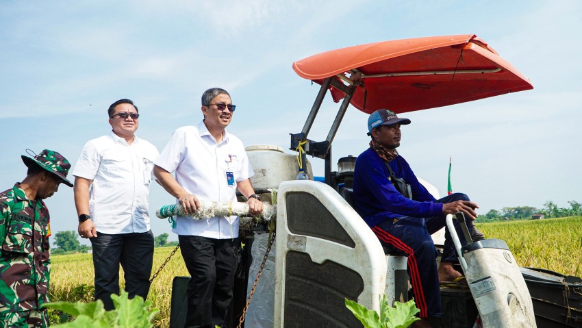 Hingga April 2025, Bulog Target Serap 3 Juta Ton Gabah Petani