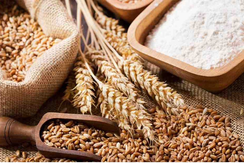 Lebaran Sebentar Lagi: Jangan Lupa Zakat karena Bertalian dengan Iman