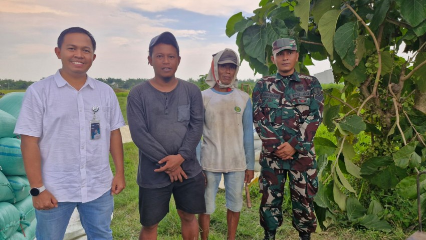 Idul Fitri, Bulog Mojokerto Tetap Serap 16 Ribu Gabah Beras Petani
