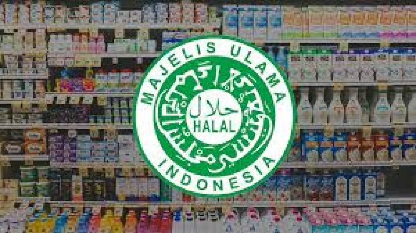 Potensi Produk Halal RI Bisa Capai 7,8 Kuadriliun, Pesantren Jadi Kunci