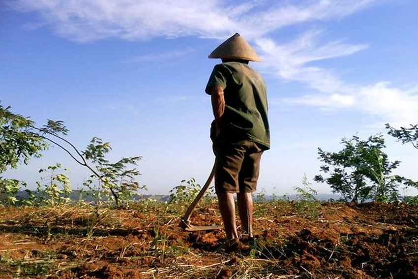 Jaga Harga Diri dengan Bekerja: Bercocok Tanam Sangat Mulia