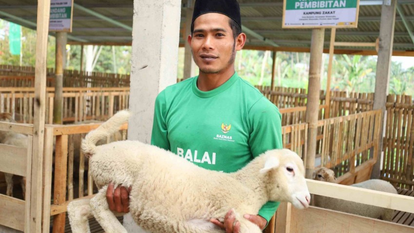 Kurban Online BAZNAS 2025: Praktis, Aman, dan Sesuai Syariah Lewat 30 Platform Digital