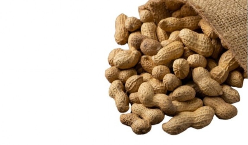 Manfaat Kacang Tanah untuk Kesehatan Tubuh, Tingkatkan Sistem Imun