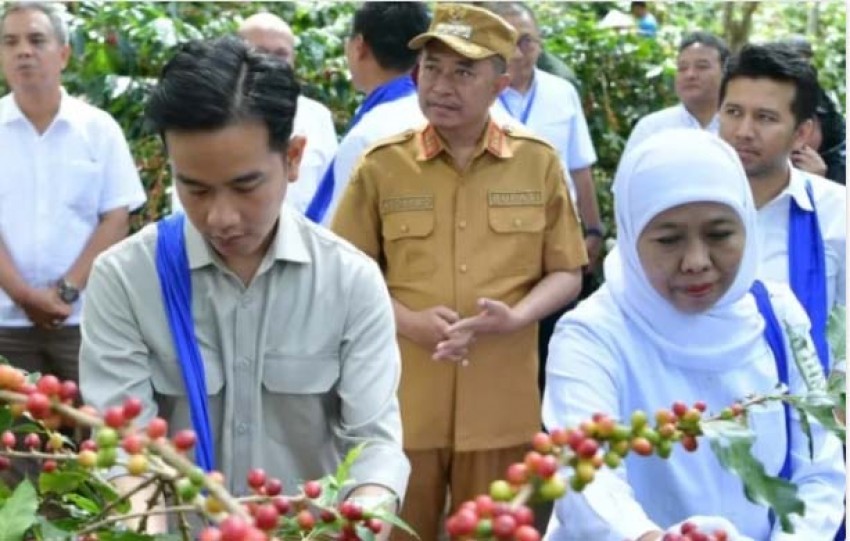 PTPN I Dukung Kebangkitan Kopi Nasional, Dorong Ekspansi dan Hilirisasi dari Lereng Ijen
