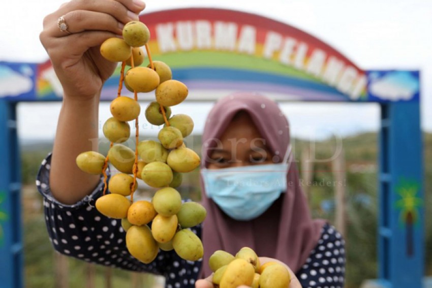 Dari Kurma hingga Perawatan: Jejak Profesi Perempuan dalam Islam Awal