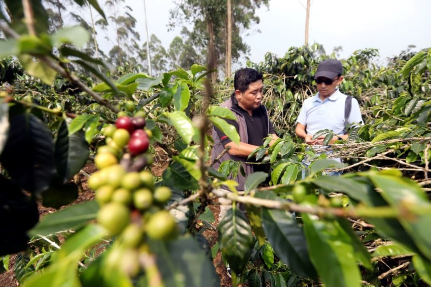 Jamkrindo Perkuat Ekonomi Jawa Barat Lewat Penjaminan Ratusan Ribu UMKM