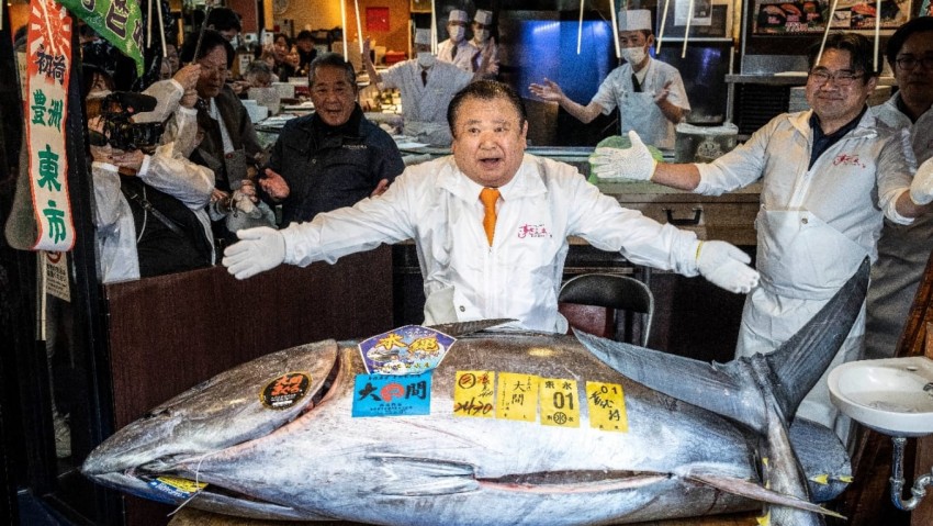 Raja Tuna Jepang Bayar Rekor Rp 52,8 Miliar untuk Tuna Sirip Biru Raksasa di Lelang Tokyo