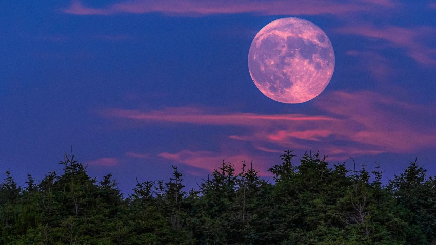 Menyusuri Keindahan Fenomena Pink Moon di Berbagai Belahan Dunia
