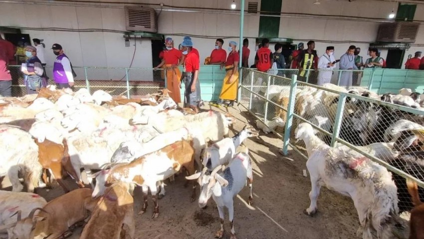 Muhammadiyah Ajak Jamaah Persyarikatan Sembelih Hewan Dam di Indonesia