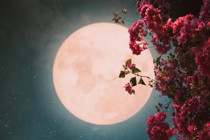 Menyaksikan Fenomena Flower Moon Pada 2 Mei Tak Butuh Teleskop, Ini Waktu Terbaik Melihatnya