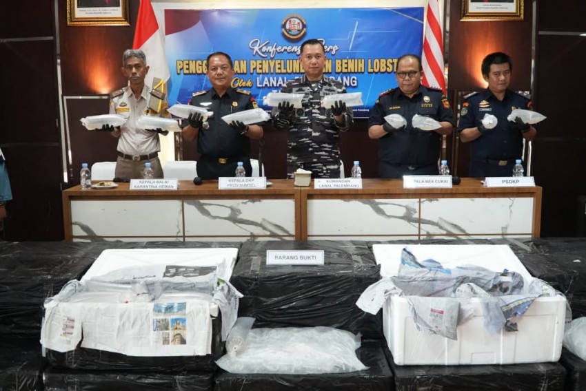 TNI AL Berhasil Gagalkan Upaya Penyelundupan 125 Ribu Benih Bening Lobster