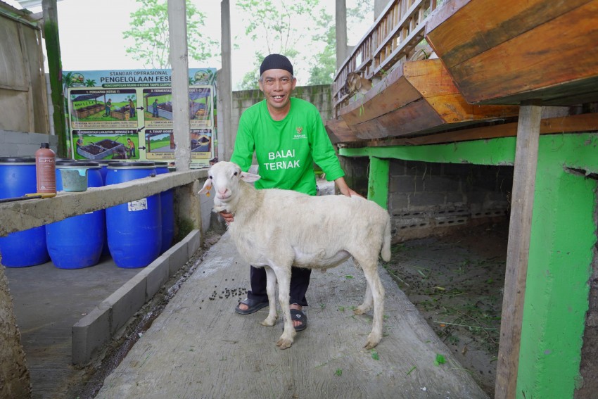 Potensi Ekonomi Kurban Tembus Rp34,85 Triliun, BAZNAS Soroti Dampak untuk Mustahik