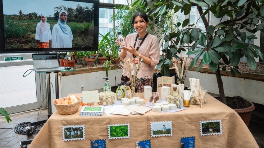 Dari Hutan Sulawesi ke Panggung Dunia: Kisah Nilam Indonesia yang Menghidupi Ribuan Petani