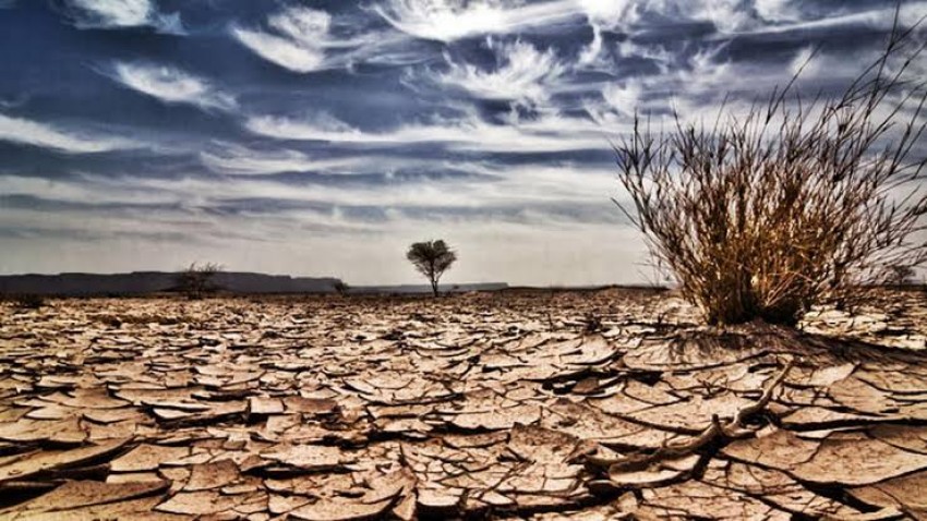 Analisis Dampak El Nino di Dunia: Bagaimana Iklim Global, Harga Pangan Hingga Risiko Kemanusiaan