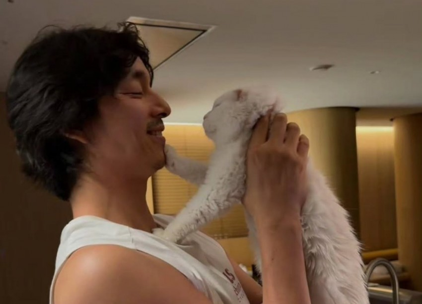 Gong Yoo Berduka, Kong Kong Si Kucing Kesayangan Meninggal