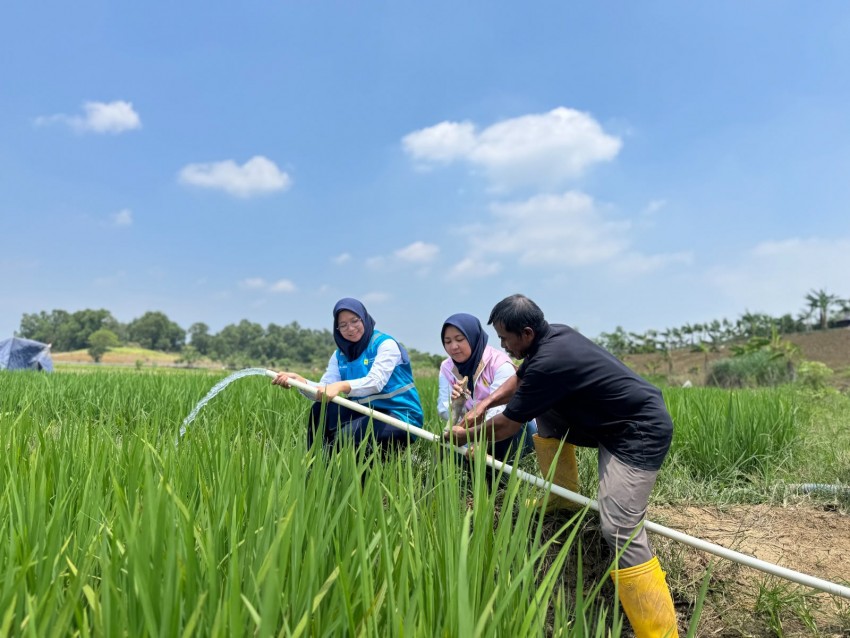 Musim Kemarau Bukan Lagi Masalah, Petani Bekasi Ungkap Perubahan Besar Setelah Pakai Listrik PLN