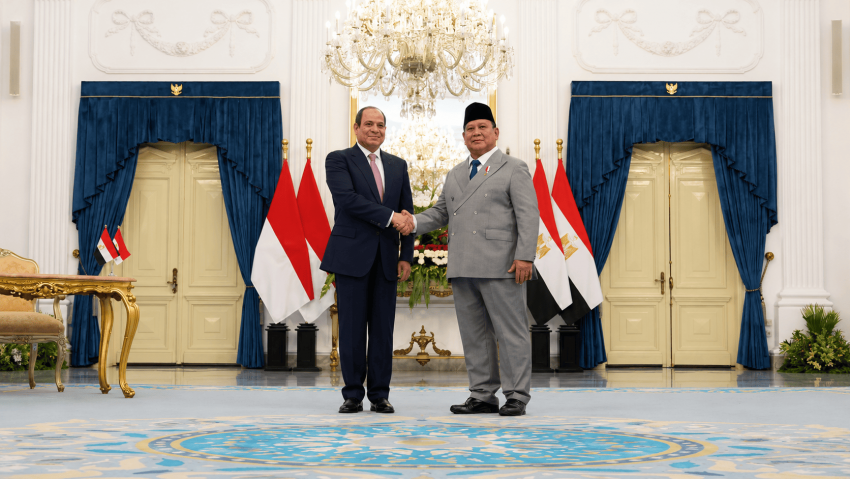 Dua Pemimpin Bersatu: Indonesia dan Mesir Perkuat Poros Dukungan untuk Palestina