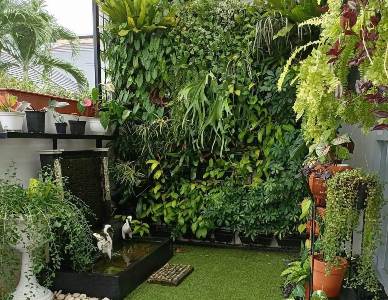 Berawal dari Hobi, Pasutri Ini Bisa Bangun Rumah dari Bisnis Tanaman Hias