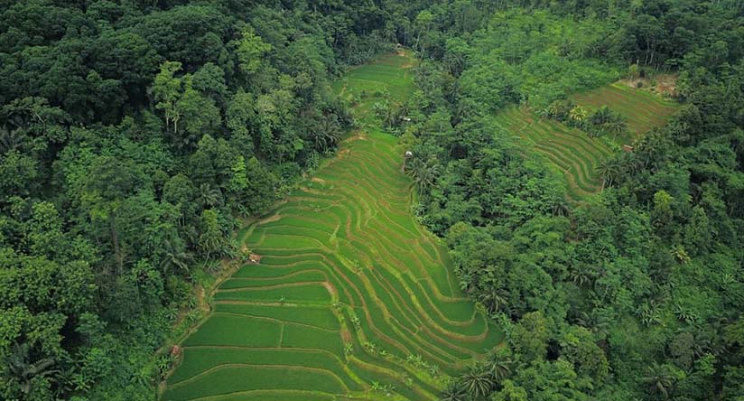 Potret Desa Wisata Selasari Pangandaran, Bikin Takjub