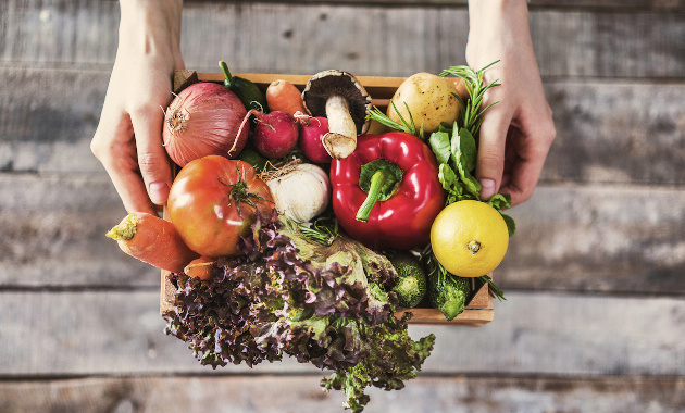 Cara Bertanam Sayur Organik dalam Pot untuk Pemula