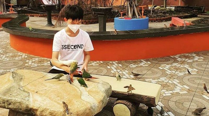 Palembang Bird Park Bisa Beri Makan Burung hingga Naik Kuda Poni