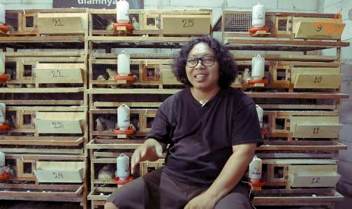Mantan Jurnalis Alih Profesi, Kini Sukses Beternak Burung Puyuh Skala Rumahan