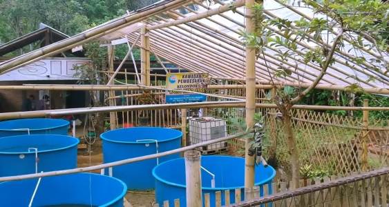 Kurangi Pengangguran, Berdayakan Emak-emak dari Nilai Tambah Produk Olahan Lele