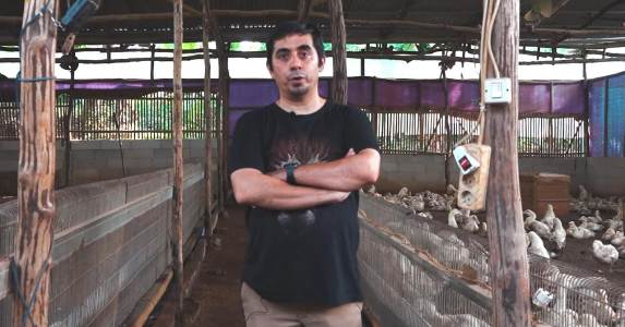 Sempat Ditentang Warga, Kini Sukses Beternak Bebek Hibrida di Tengah Perkotaan