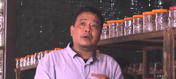 Gampang-gampang Susah, Muslim Ini Jual Telur Semut Rangrang Rp1 Juta per Kilogram