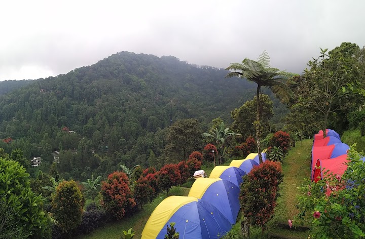 7 Tempat Kemah Alam Terbuka Seru untuk Ajak Si Kecil Berlibur