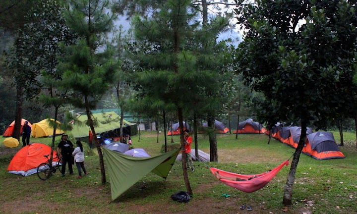 7 Tempat Kemah Alam Terbuka Seru untuk Ajak Si Kecil Berlibur
