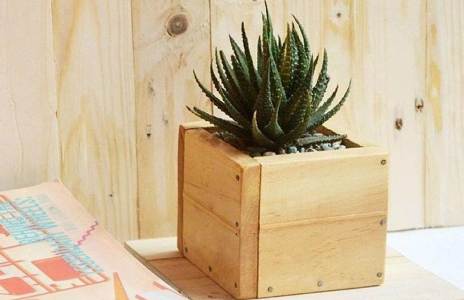 Jangan Dibuang, Kreasikan Palet Kayu untuk Kecantikan Dekorasi Rumah