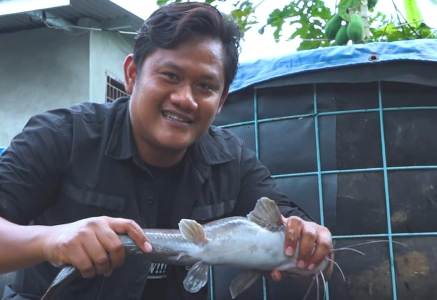 Jadi Binaan Asosiasi, Bermodal Rp700 Ribu Sukses Budi Daya Ikan Lele