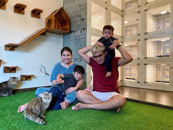 Sering Dinas Luar Kota, Berikut Rekomendasi 4 Hotel Kucing