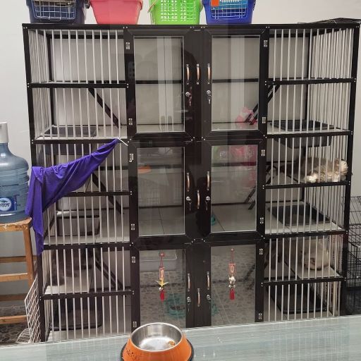 Sering Dinas Luar Kota, Berikut Rekomendasi 4 Hotel Kucing
