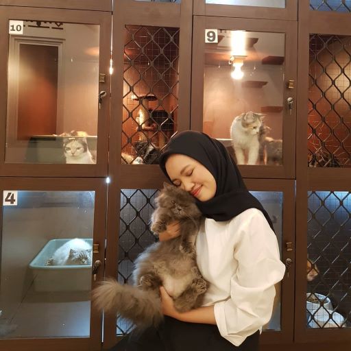 Sering Dinas Luar Kota, Berikut Rekomendasi 4 Hotel Kucing