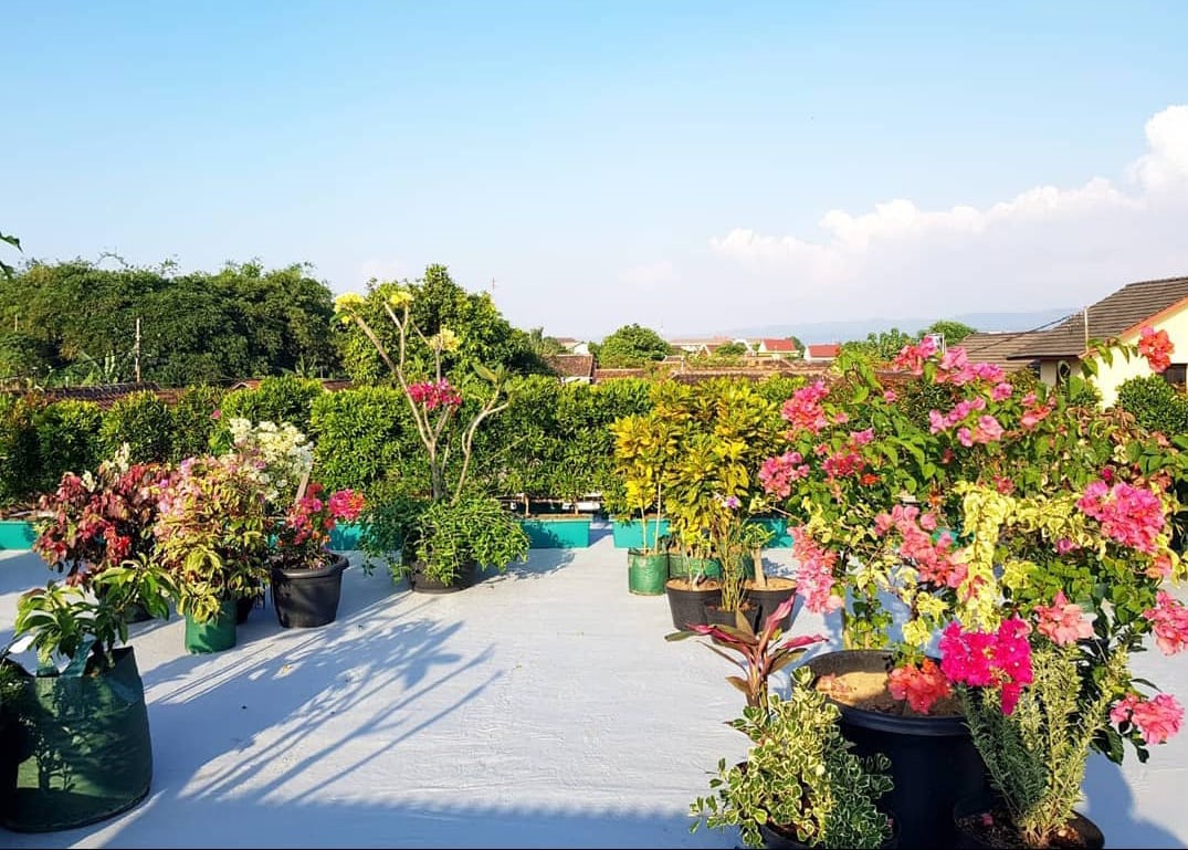 Manfaatkan Atap Rumah Jadi Rooftop Garden untuk Tempat Santai